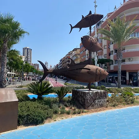 Apartment Navasa 2 3f