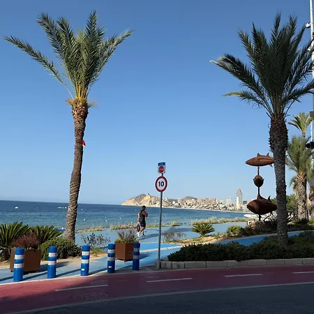 Navasa 2 3f * Benidorm